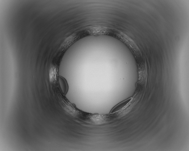 X0000116600142200912181153
