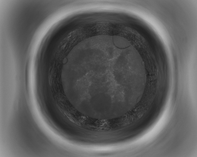 X0000116600143200912181153