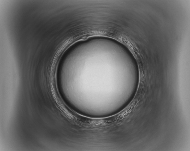 X0000116600145200912181153