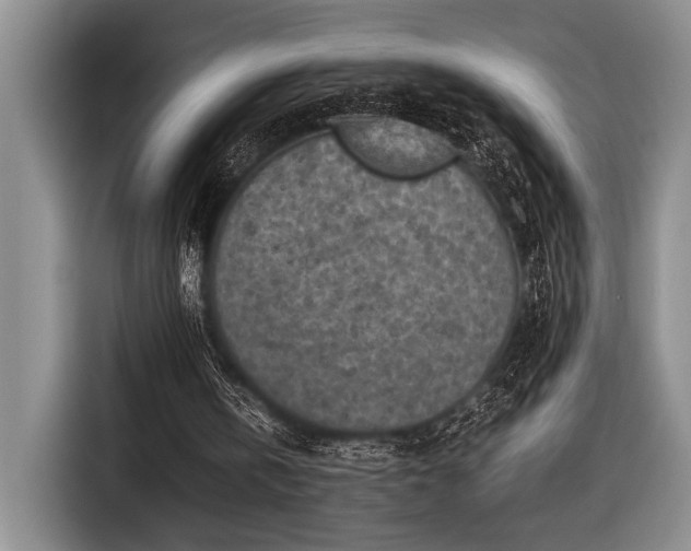 X0000116600146200912181153