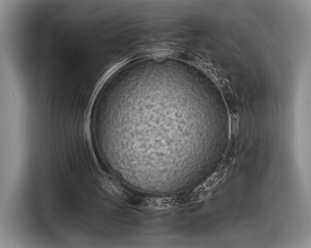 X0000116600147200912181153