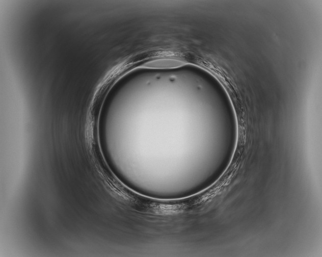 X0000116600149200912181153