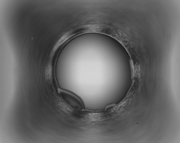 X0000116600150200912181153