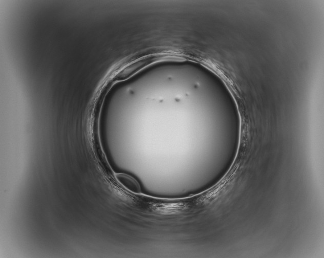 X0000116600151200912181153