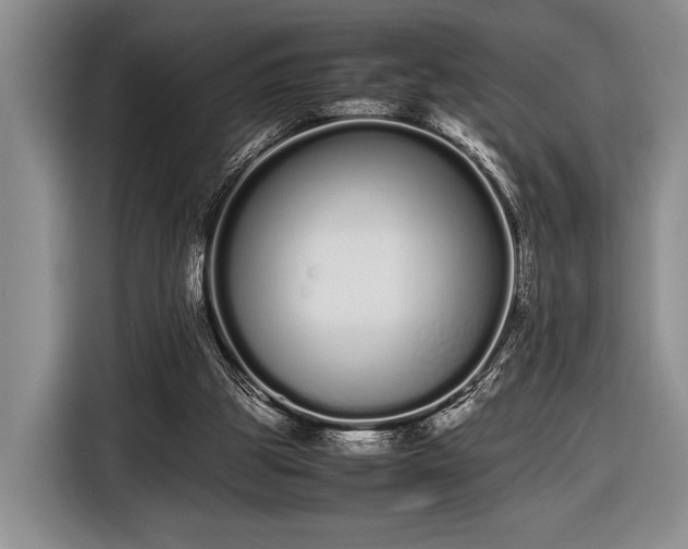 X0000116600153200912181153