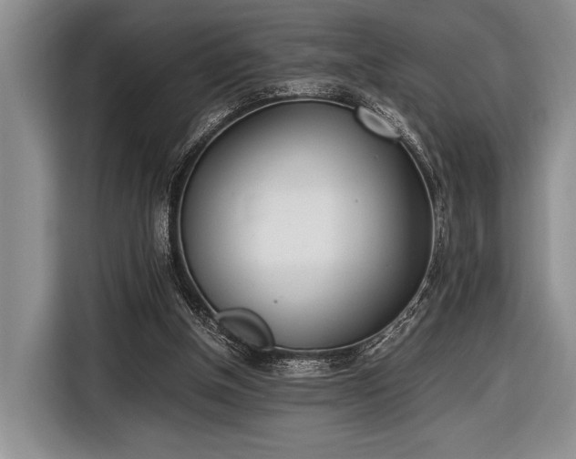 X0000116600154200912181153