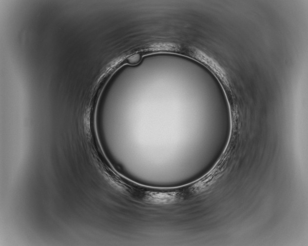 X0000116600155200912181153