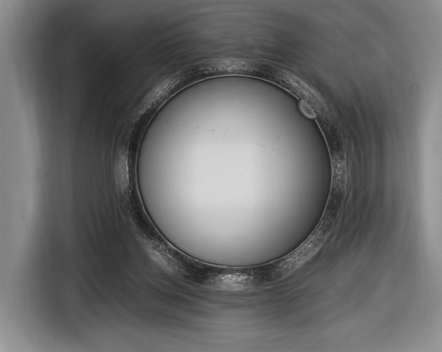 X0000116600158200912181153