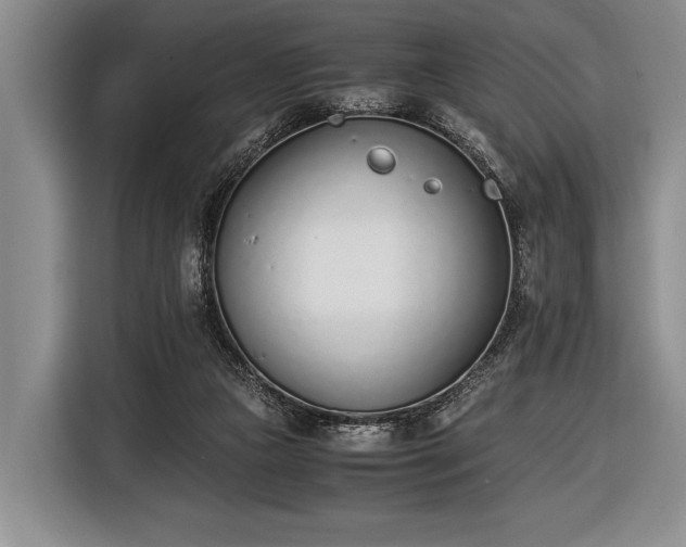 X0000116600161200912181153