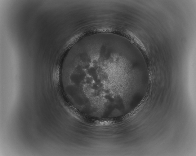 X0000116600163200912181153