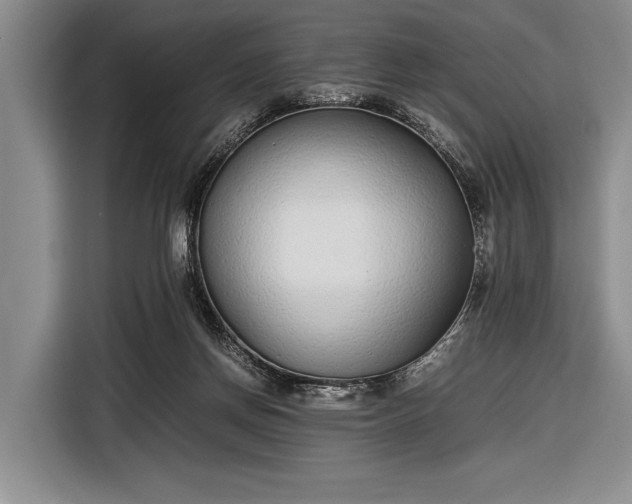 X0000116600166200912181153
