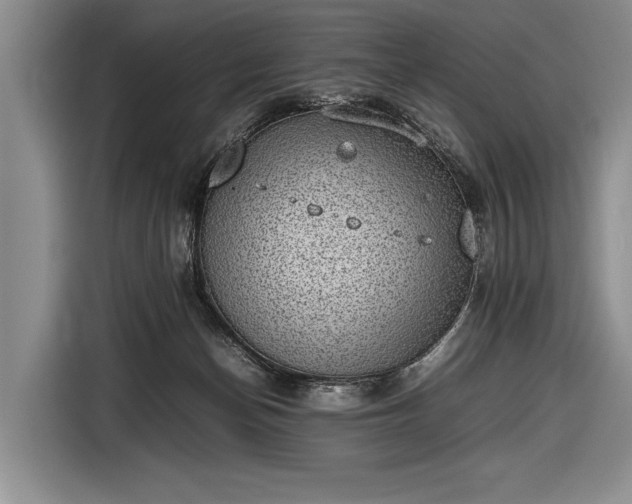 X0000116600174200912181153