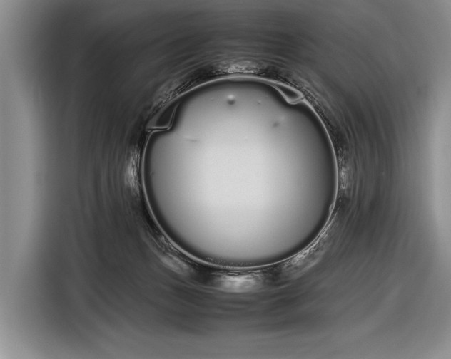 X0000116600175200912181153