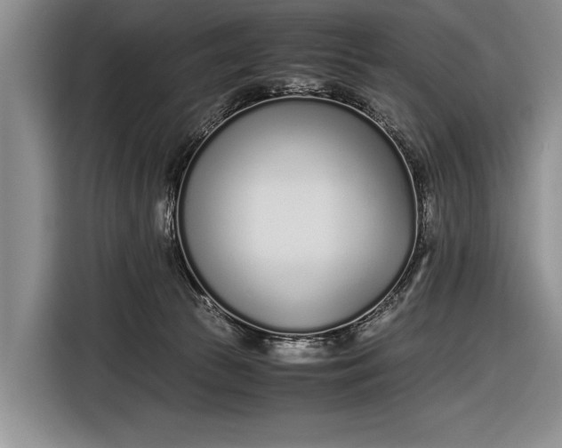 X0000116600177200912181153