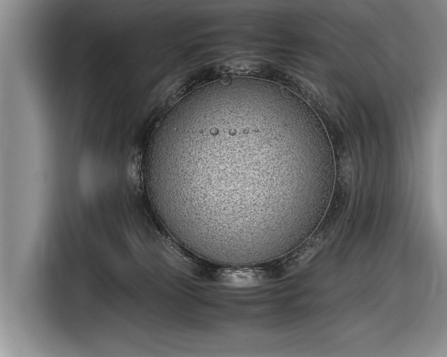 X0000116600181200912181153