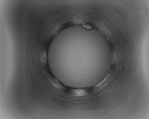 X0000116600183200912181153