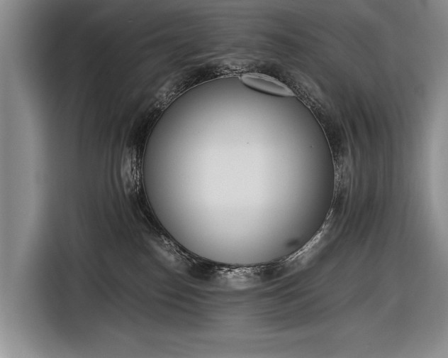 X0000116600186200912181153