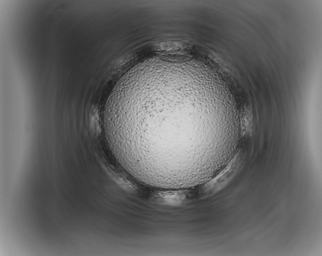 X0000116600187200912181153