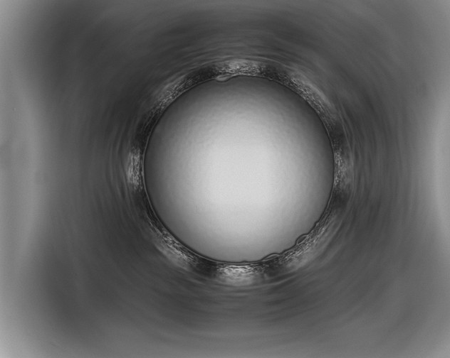 X0000116600189200912181153