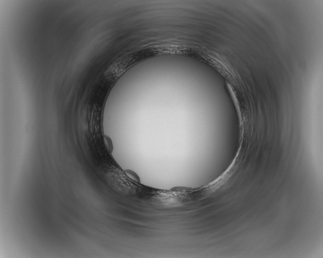 X0000116600190200912181153