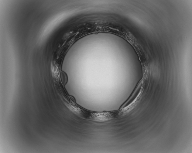 X0000116600191200912181153