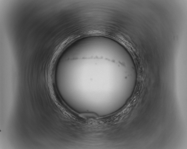 X0000116600193200912181153