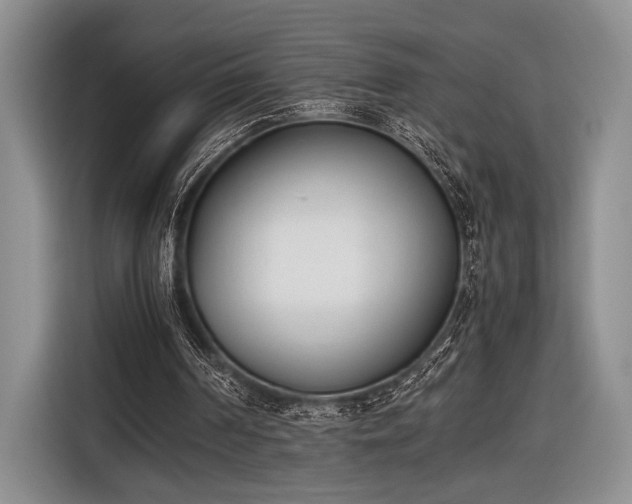 X0000116600194200912181153