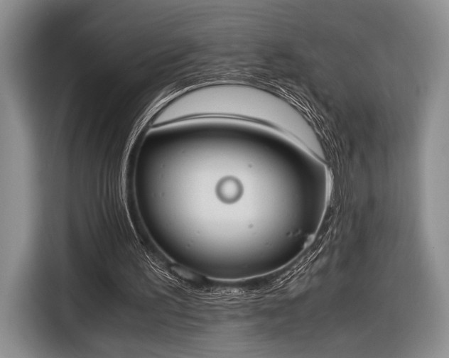 X0000116600195200912181153