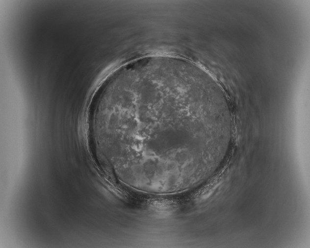 X0000116600199200912181153