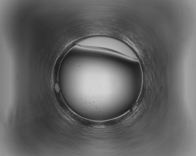 X0000116600203200912181153
