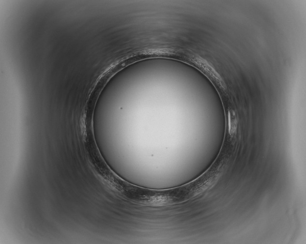 X0000116600204200912181153