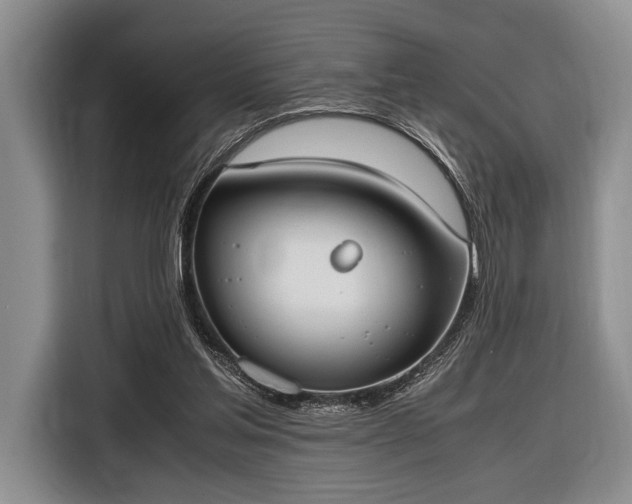 X0000116600205200912181153