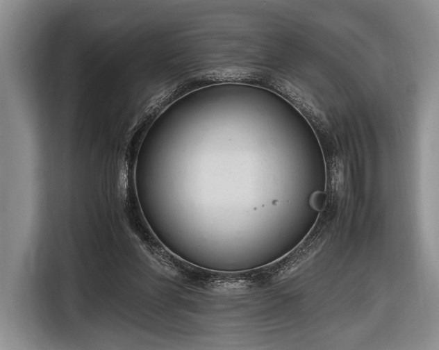 X0000116600206200912181153