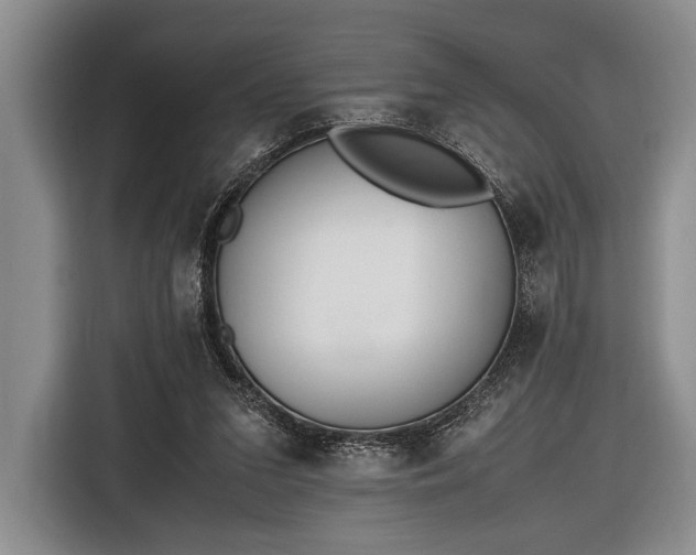 X0000116600207200912181153