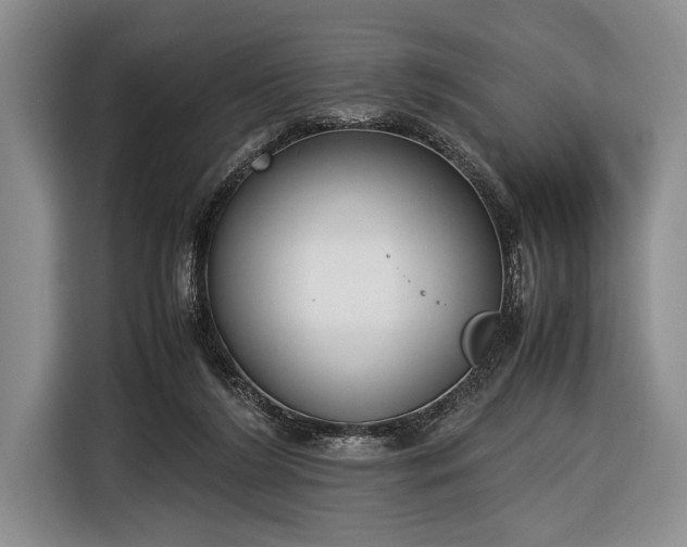 X0000116600212200912181152