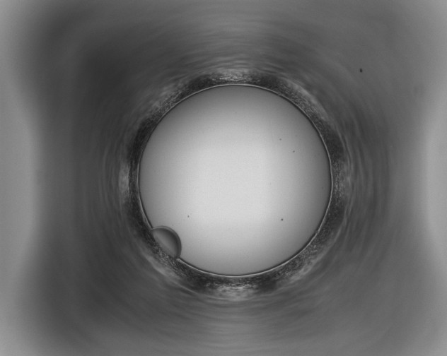 X0000116600213200912181152