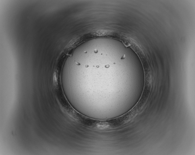 X0000116600214200912181152