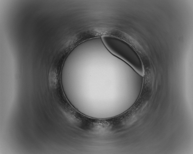 X0000116600215200912181152