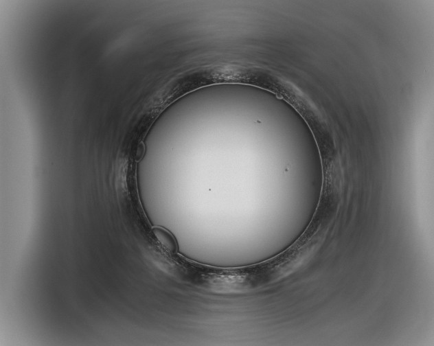 X0000116600217200912181152