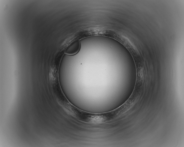 X0000116600218200912181152