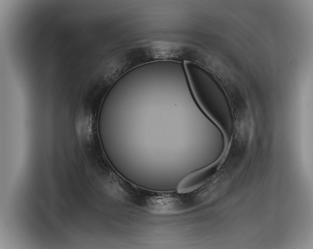 X0000116600219200912181152