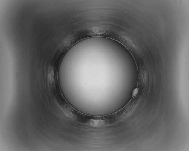 X0000116600220200912181152