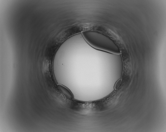 X0000116600225200912181152