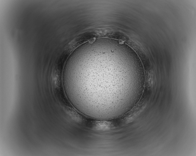 X0000116600226200912181152