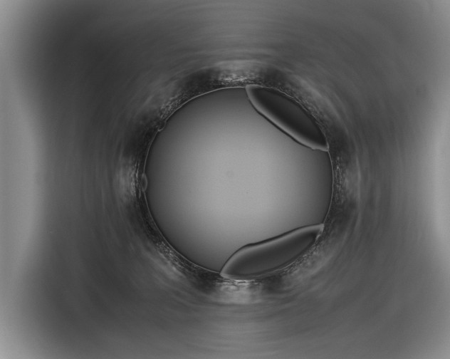 X0000116600227200912181152