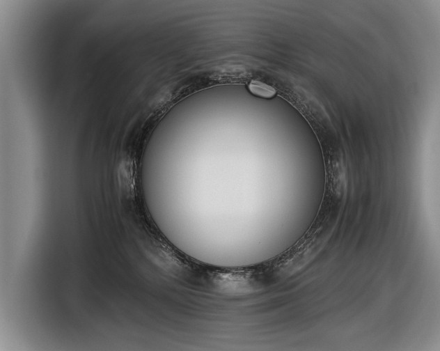 X0000116600232200912181152