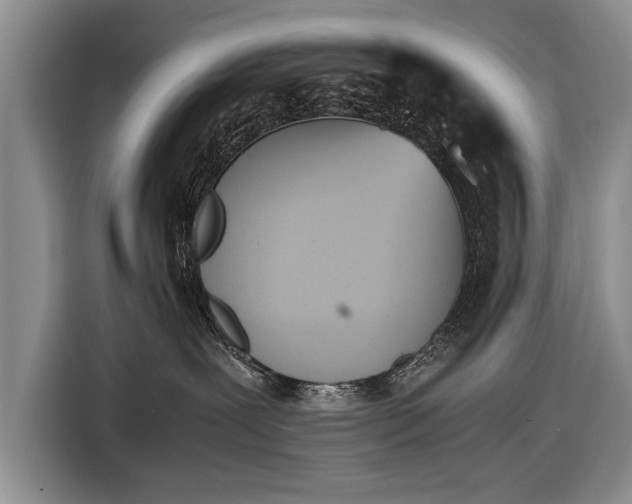 X0000116600239200912181152