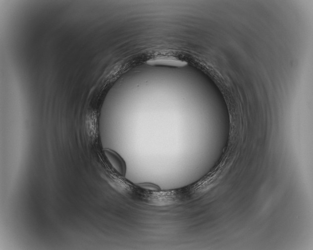 X0000116600240200912181152