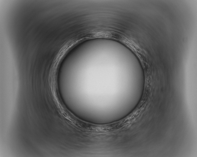 X0000116600241200912181151
