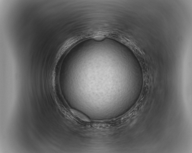 X0000116600242200912181151